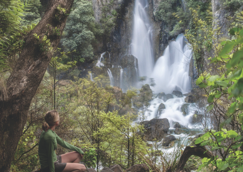 Discover Tarawera