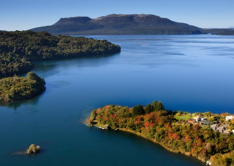 Solitaire Lodge NZ Peninsula Image 8