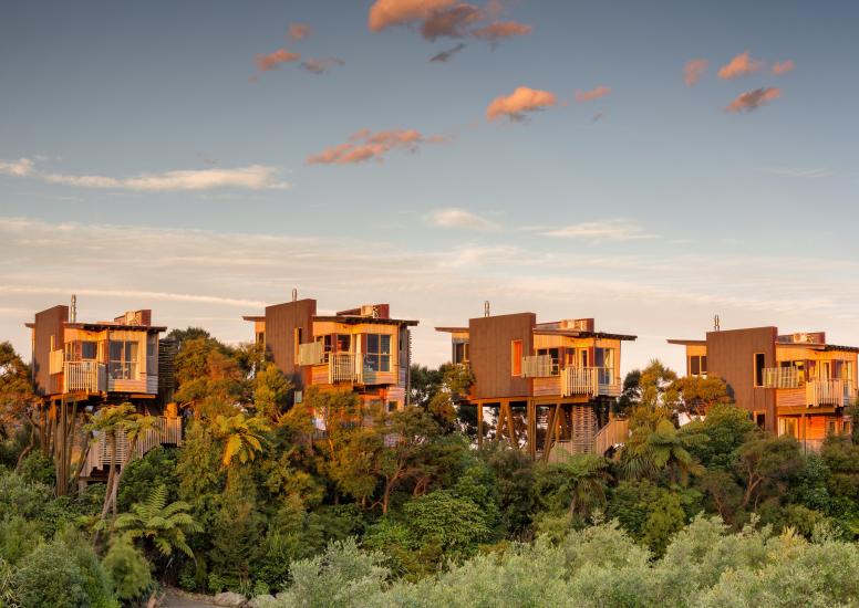 TreeHouses Longshot 5