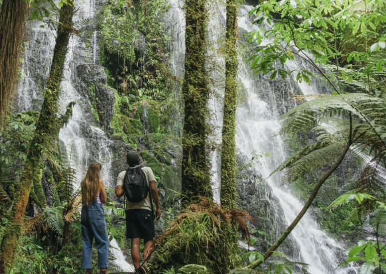 Treetops christinamacpherson waterfallwalk2 december2017 hiking page